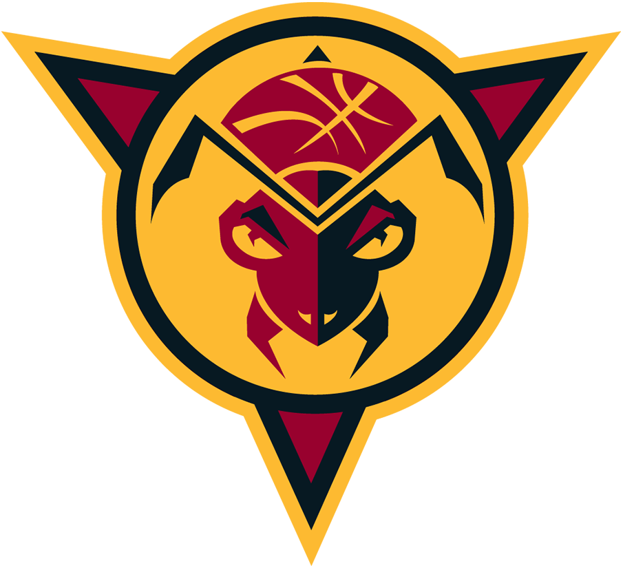 Fort Wayne Mad Ants 2006-2017 Alternate Logo iron on transfers for clothing